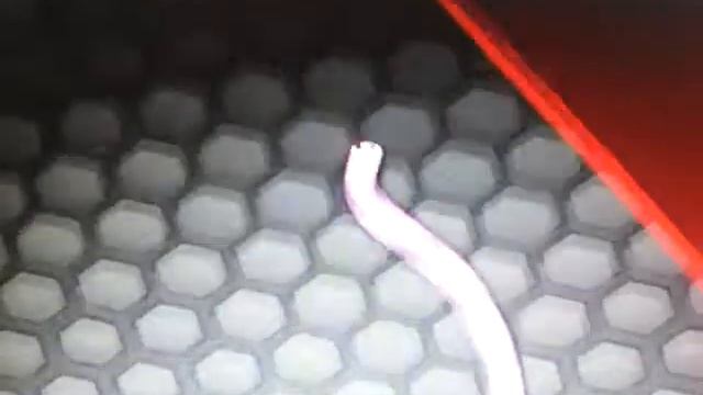 SIither.io ZX мой огромный рост часть 3 смотреть онлайн