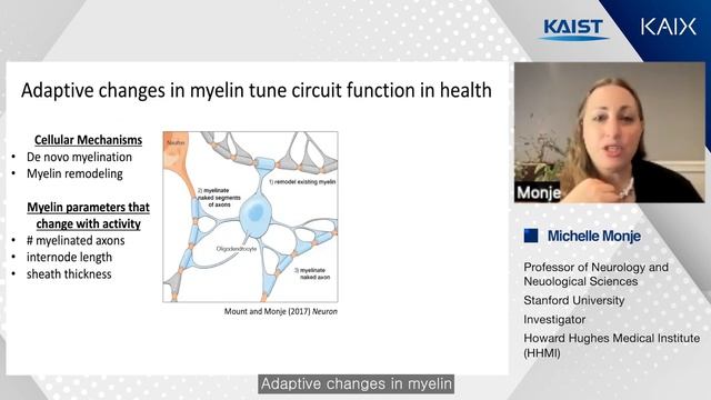 [SUMMRY] KAIX Neuron glial interactions in health and disease from cognition to cancer смотреть онлайн