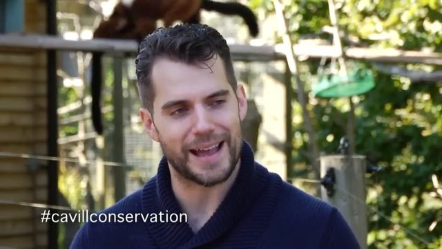 Henry Cavill: What Type Of Animal Would You Be If You Weren't Human? смотреть онлайн
