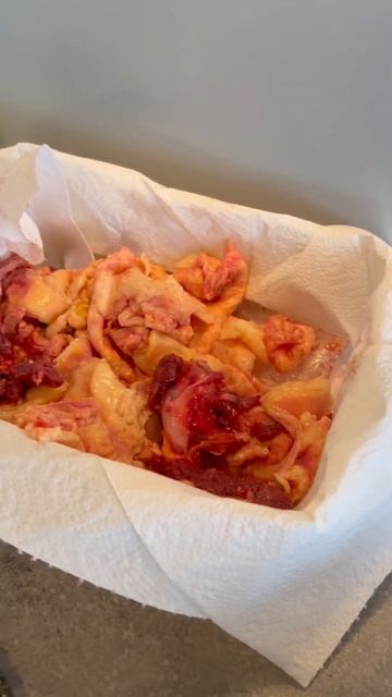 Cutting up a whole duck for homemade #rawdogfood & discarded 1.5 lbs worth of fat #dogmomlife смотреть онлайн
