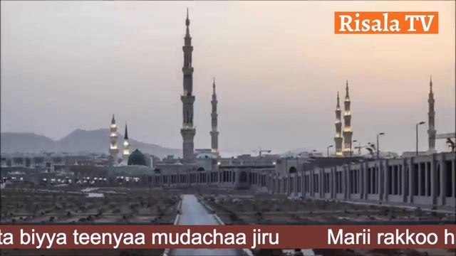 Risala TV: Marii rakkoo hujjaajota biyya teenyaa mudachaa jiru Ustaz AbdulAziz Omar fii Boonaa смотреть онлайн