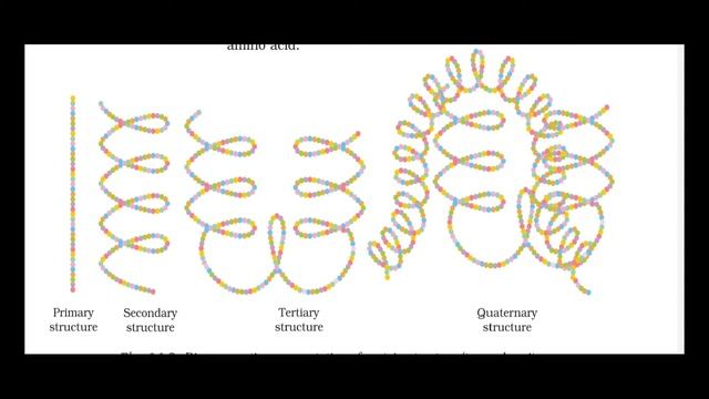 +2 Chemistry/ Focus Area/ unit 14/ Bio molecules смотреть онлайн