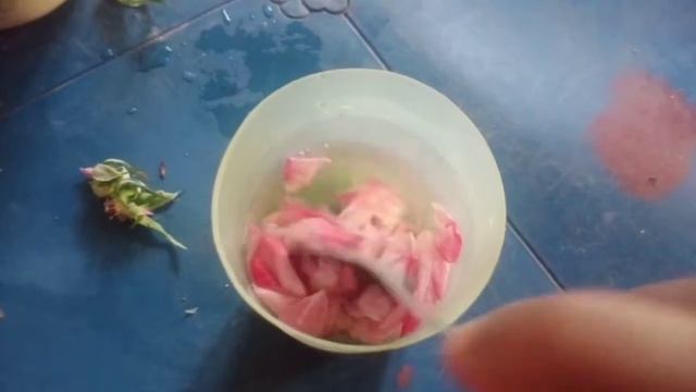 cara buat air mawar sendiri смотреть онлайн