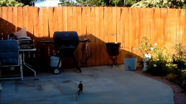 2015 03 30 Tarot 450 Pro Test Hover смотреть онлайн