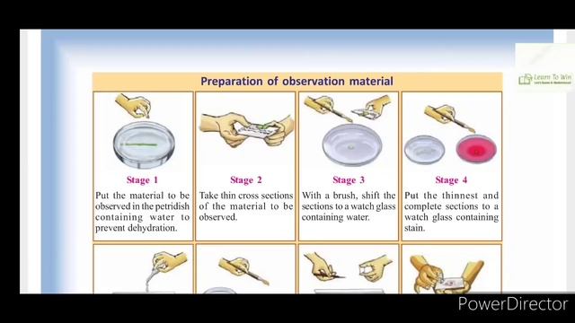 Class 8 Life's Mysteries in Little Chambers Biology Unit 1 Part 1 Basic Science смотреть онлайн
