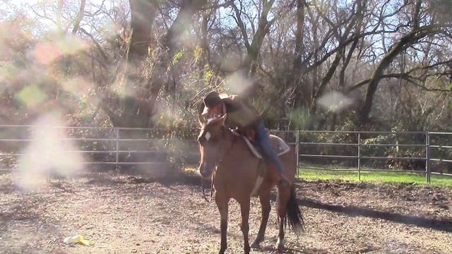 Why Did My Horse Buck Me Off (Preview) Mike Hughes, Auburn California смотреть онлайн