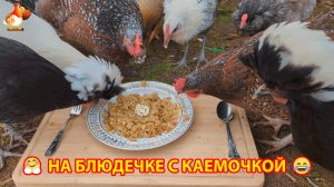 На блюдечке с каемочкой ❣️🤗🥰