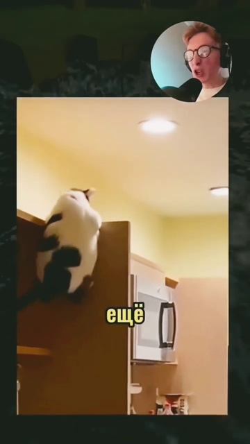 вирусные видео смотреть онлайн