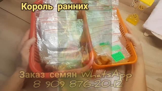 ТОМАТЫ - сорта проверенные временем !РАБОЧИЕ ЛОШАДКИ! смотреть онлайн