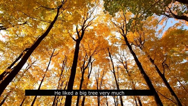 THE POT AND TREE / a short story about our life смотреть онлайн
