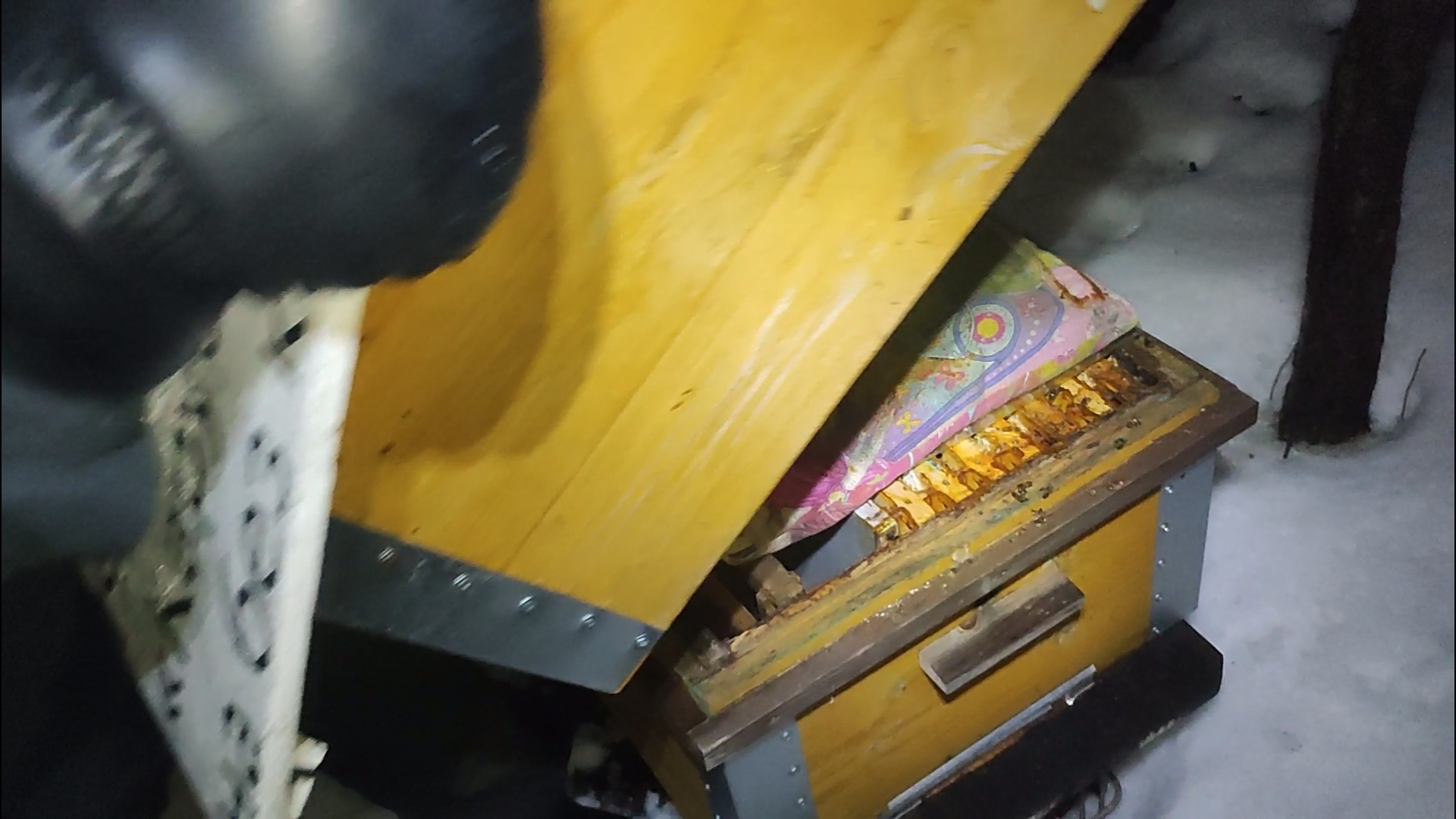 Как зимуют однорамочные отводки (на воле) смотреть онлайн