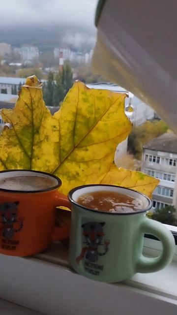 Настроение Питер в Железноводске🎨🍁☘️ #larakapralova #visual #love #world #art #кмв #кофе #осень ☕🍁☘ смотреть онлайн