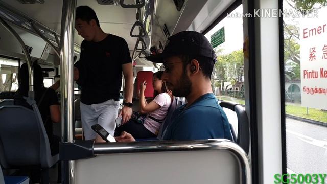 Smrt Buses Bus Services 825 BYD C6 Full Trip Loop смотреть онлайн