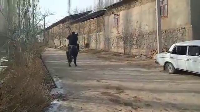 янги ноокат смотреть онлайн