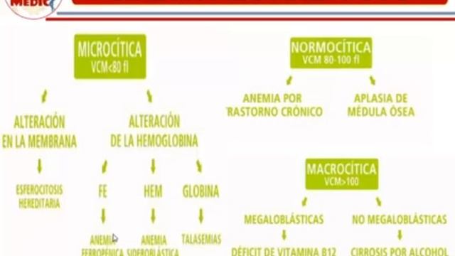 Qx hematologia - 368334832 смотреть онлайн