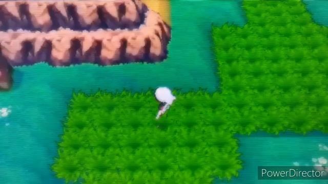 Live shiny zebstrika🌟in Pokemon ORAS смотреть онлайн