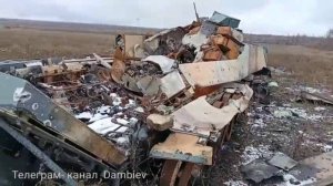 Что осталось от Брэдли.