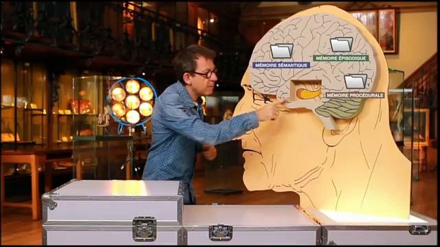 La maladie d'alzheimer _ La perte de nos souvenirs - C'est pas sorcier [Intégrale]