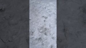 Где вины на JMC 1032?