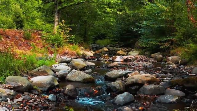 Связь между избыточной слизью и заболеваниями Что вы должны знать — сделано в Clipchamp смотреть онлайн