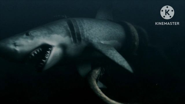 Mega Shark Sounds