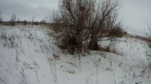 Трудовая охота на зайца