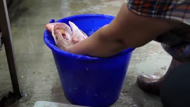 Taiwan Kaohsiung Roadside Snack Street Food Fresh Snapper смотреть онлайн