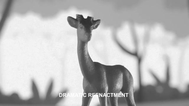 Traded Tenere 700 For KTM 790 Adventure R