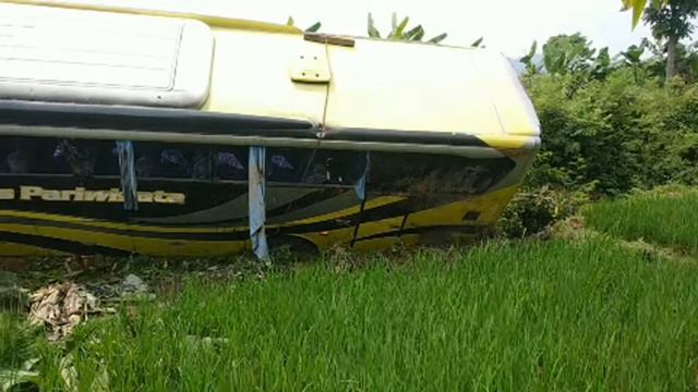 Evakuasi Bus Pariwisata Terperosok ke sawah penduduk Di selopampang Temanggung смотреть онлайн