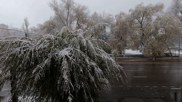 Октябрьский снегопад: красота и неожиданность в Алматы смотреть онлайн