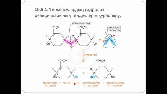 10-сынып. Көмірсулар мен майлардың химиялық құрамы және гидролиз реакциялары.