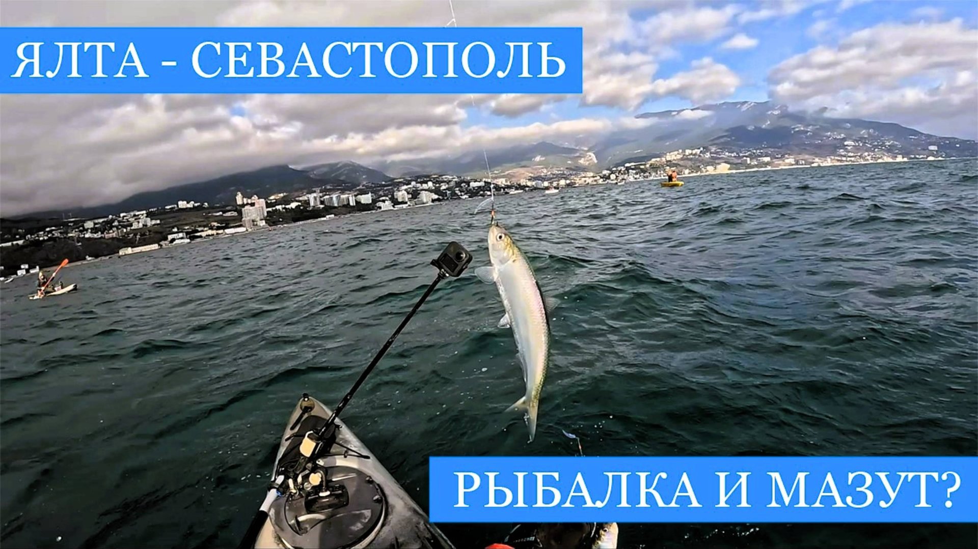 Крымская рыбалка и МАЗУТ!! - Ловим селедку в Ялте и кефаль в Севастополе, спасаем птиц! смотреть онлайн
