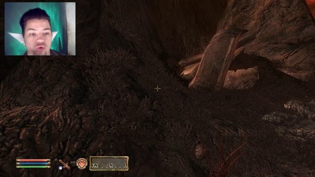 The Elder Scrolls IV:Oblivion №119 Два балбеса и защитник смотреть онлайн