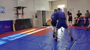 спарринг самбо