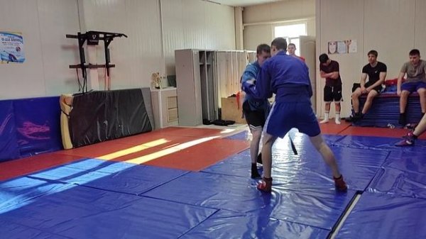 спарринг самбо