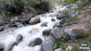 "Шохимардон сойлари".2023 Май."Shohimardon soylari" 2023 May.