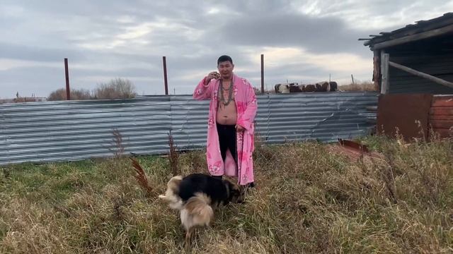 Пародия на песню Yung Hefner смотреть онлайн