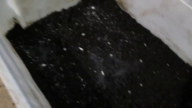 Откорм, выгонка малька! смотреть онлайн