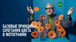 Базовые принципы сочетания цвета в фотографии