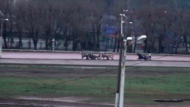 Московский ипподром. Бега. 19.11.17. Заезд 9(691) смотреть онлайн