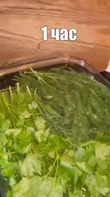 Замачивание зелени смотреть онлайн