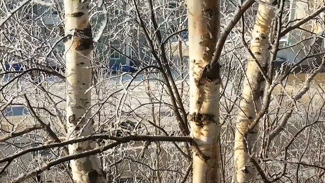 АМУРСК ПОДГОТАВЛИВАЕТСЯ К НОВОМУ ГОДУ 2021 смотреть онлайн