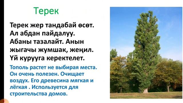 Дарактардын түрлөрү//3-класс смотреть онлайн