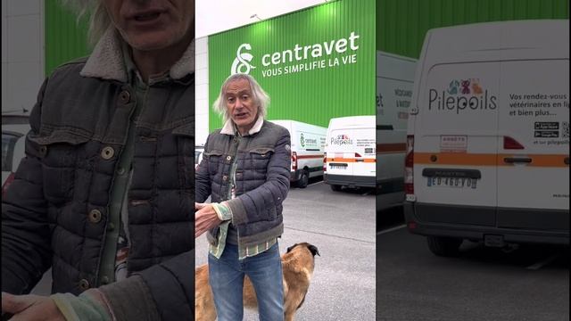 Congrès Le Chien mon Ami et London Vet Show смотреть онлайн