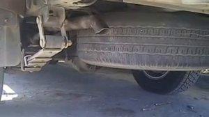 Zx auto grand tiger car