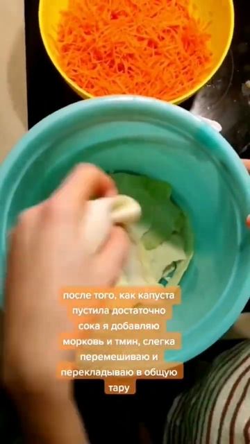 🥬 Квашеная капуста 🥰 #капуста #капустаквашеная #рецепты #капустарецепт #готовимвкусно #готовимдома смотреть онлайн