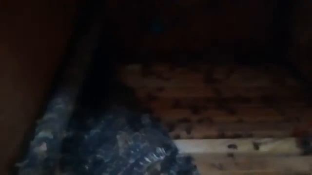 Пчелы!!…фумагелин!! Удобная обработка!!