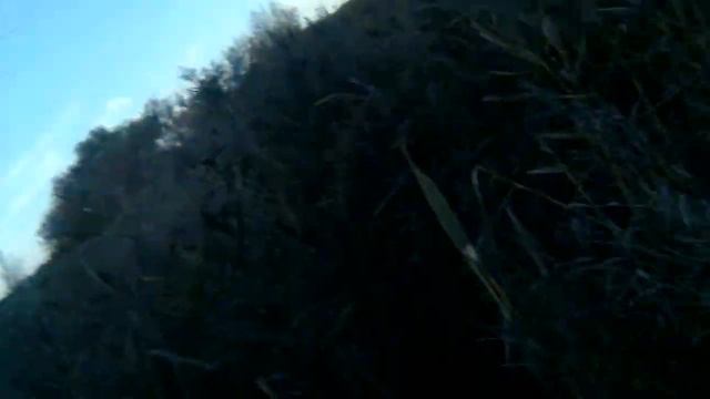 11.10.21 спокойная и тихая атмосфера . И я ☝️ наслаждаюсь природой красивой . смотреть онлайн