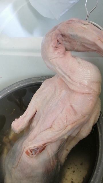 Duck soup/sinabawang pato#shorts#duck#soup #asmr#viral#Chinese #food смотреть онлайн