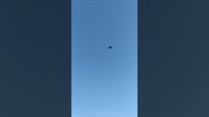 5 января. Шахты. Голуби